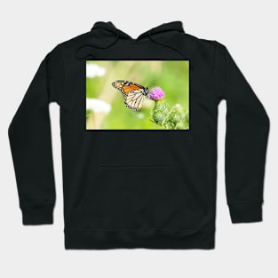 Monarch Hoodie